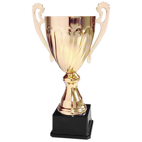 Copa CY 2013