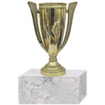 Trofeo Plástico Copa Chica