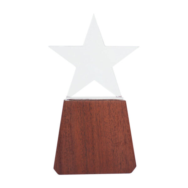 Trofeo de Madera y Cristal "Lonely Star" - Galvanos y premios | MerchLAB