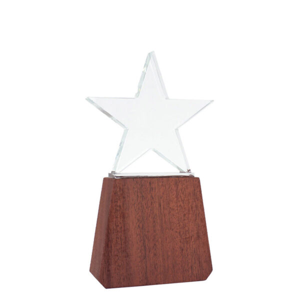 Trofeo de Madera y Cristal "Lonely Star", foto 4 - Galvanos y premios | MerchLAB