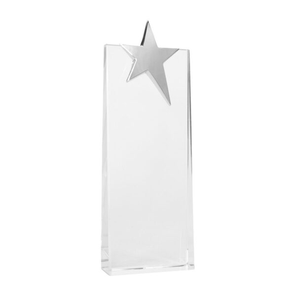 Trofeo Galvano de Cristal "Ledecky" - Galvano Corporativo | MerchLAB