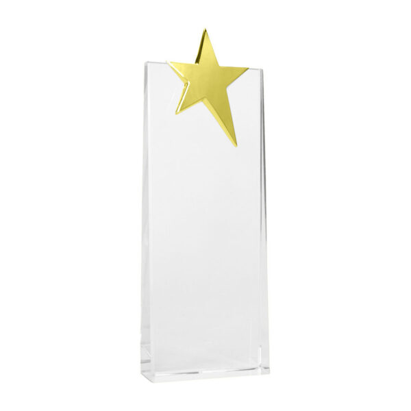 Trofeo Galvano de Cristal "Ledecky", detalle - Galvano Corporativo | MerchLAB