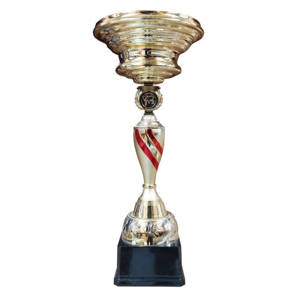 Copa CJ - Imagen 8