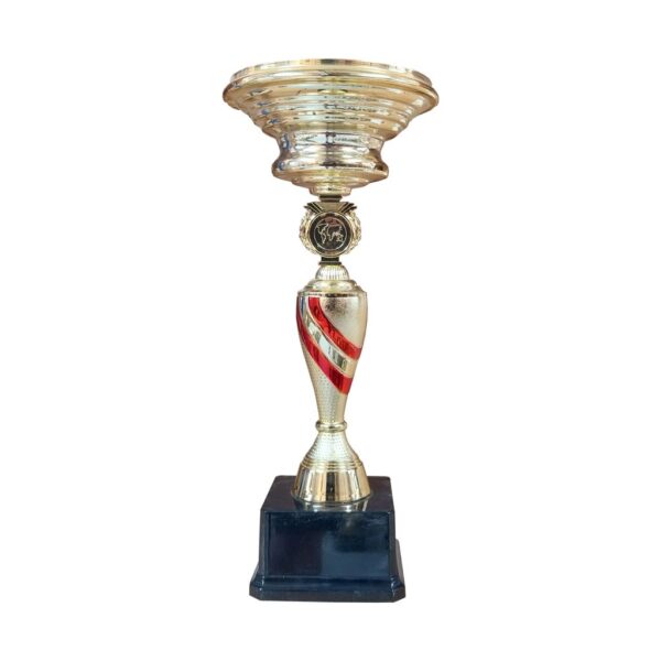 Copa CJ - Imagen 7