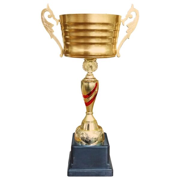 Copa IDE - Imagen 8