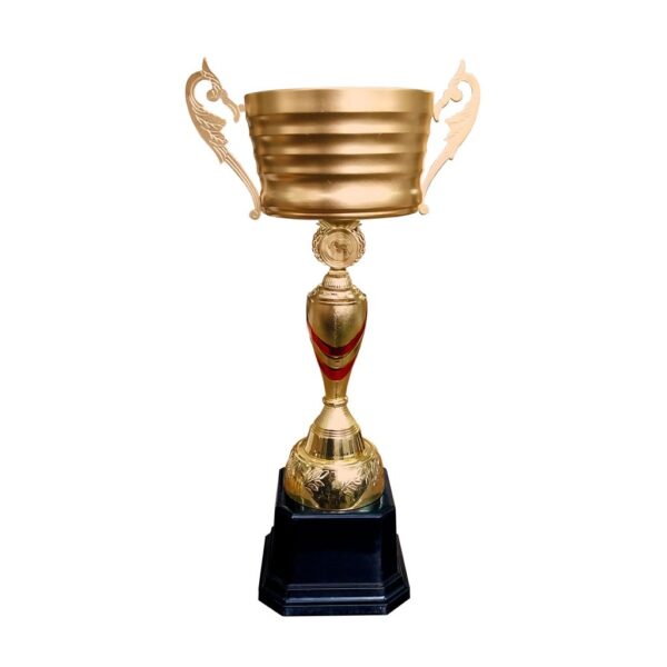 Copa IDE - Imagen 7