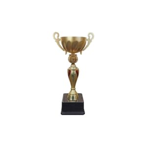 Copa JN, foto 4 - Copas | MerchLAB