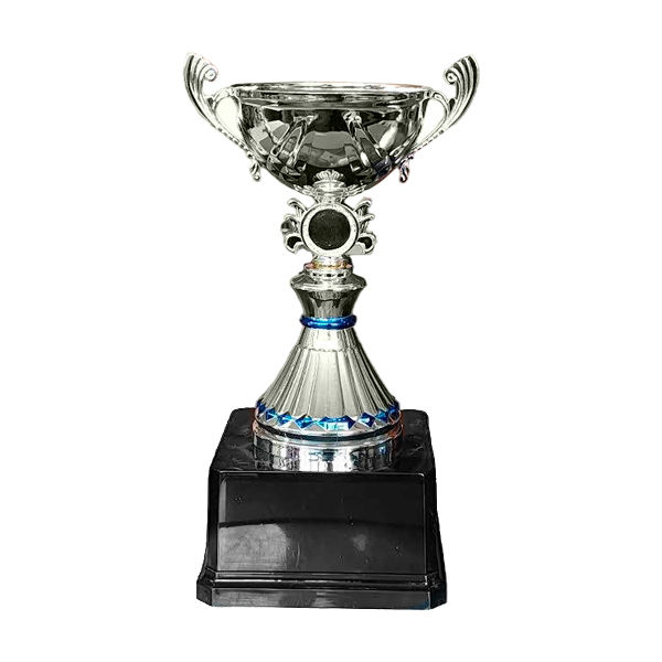 Copa VIC - Imagen 3