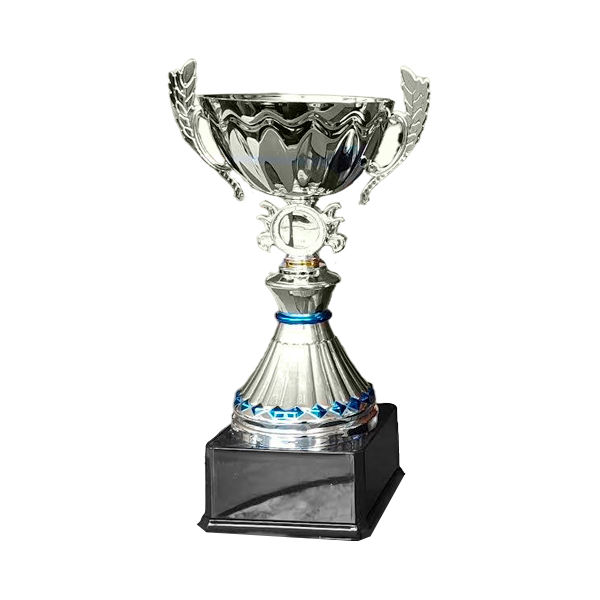 Copa VIC - Imagen 2