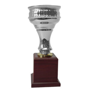 Copa CP22, vista 2 - Copas | MerchLAB