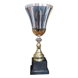 Copa CRI 10A