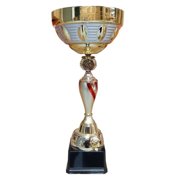 Copa DAN - Imagen 6