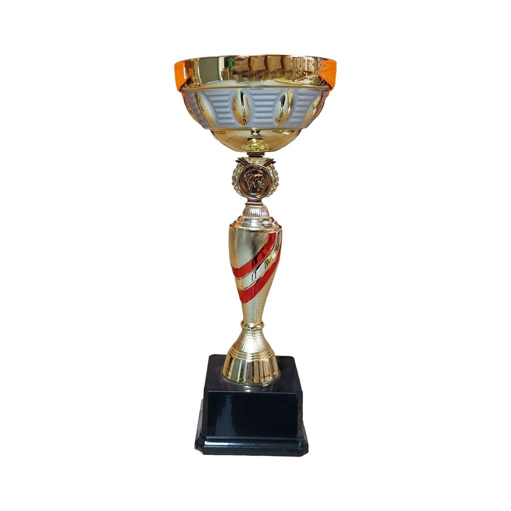 Copa DAN - Imagen 2