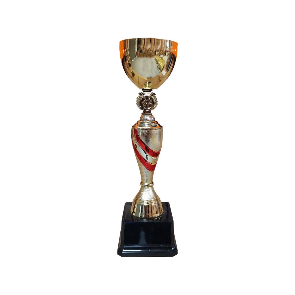 Copa DAN - Imagen 4