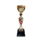 Copa DAN