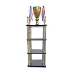 Copa Torre DGO10