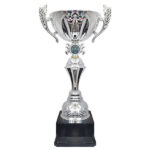 Copa RAF