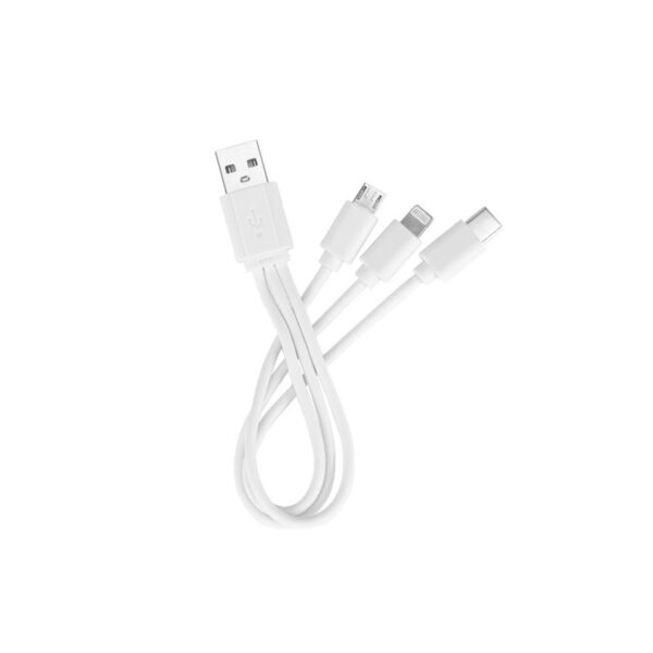 USB Connect Multicargador 4-en-1 - Tecnología y Electrónicos | MerchLAB