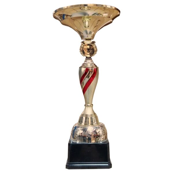 Copa ZK - Imagen 5