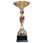 Copa ZK