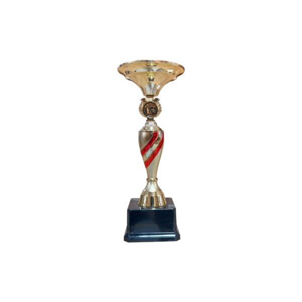 Copa ZK - Imagen 10