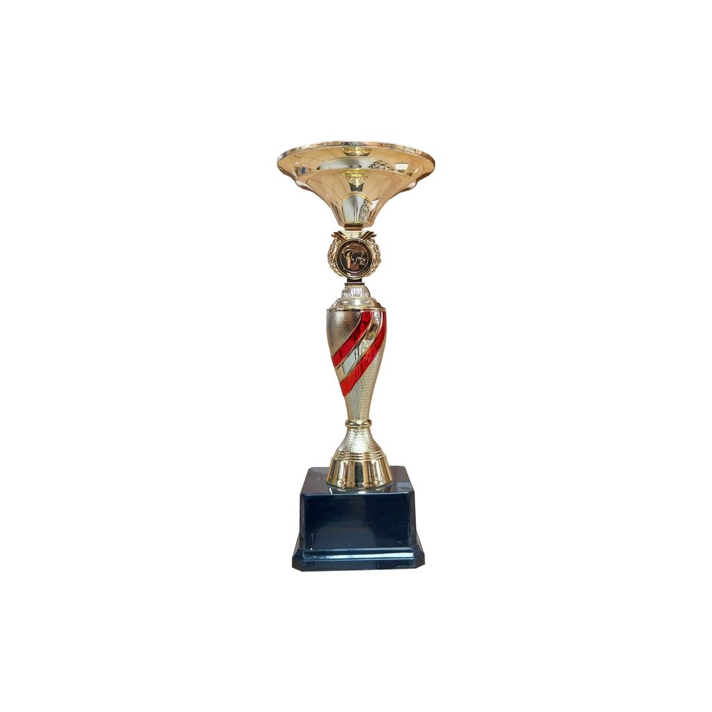 Copa ZK - Imagen 2