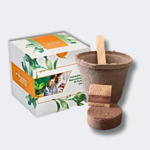 Eco Diseño