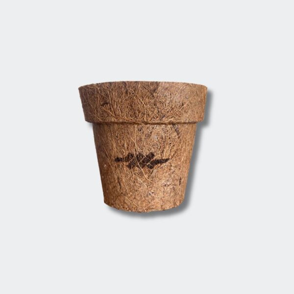 Eco Coco & Eco Turba, foto 4 - Regalos Ecológicos | MerchLAB
