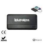 Power Bank Crux