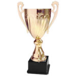 Copa CY 2013 - Copas | MerchLAB