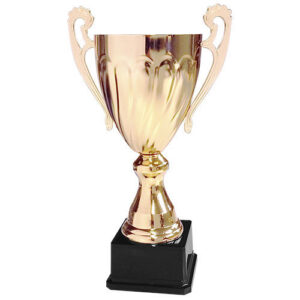 Copa CY 2013 - Copas | MerchLAB