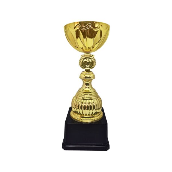 Copa Alex 10, foto 4 - Copas | MerchLAB