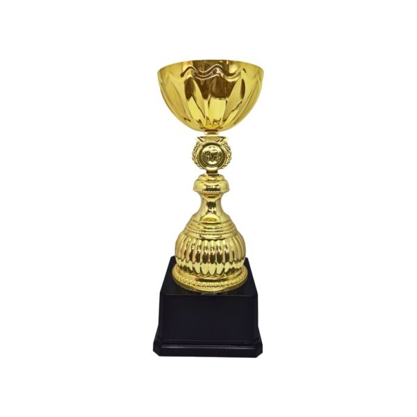 Copa Alex 10, foto 5 - Copas | MerchLAB