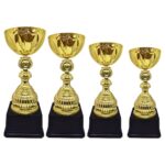 Copa Alex 10 - Copas | MerchLAB