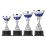 Copa BLAS 32 - Copas | MerchLAB