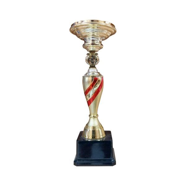 Copa CJ, foto 4 - Copas | MerchLAB