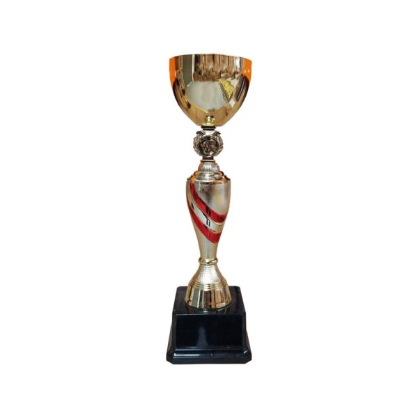 Copa DAN, foto 4 - Copas | MerchLAB