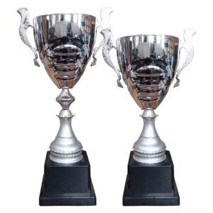 Copa DAN 7 - Copas | MerchLAB