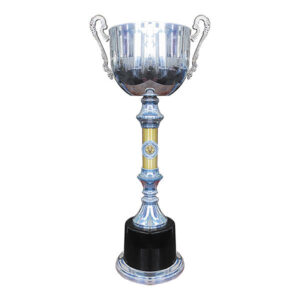 Copa Eterno Campeón 720, vista 2 - Copas | MerchLAB