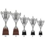 Copa Fierro16 - Copas | MerchLAB