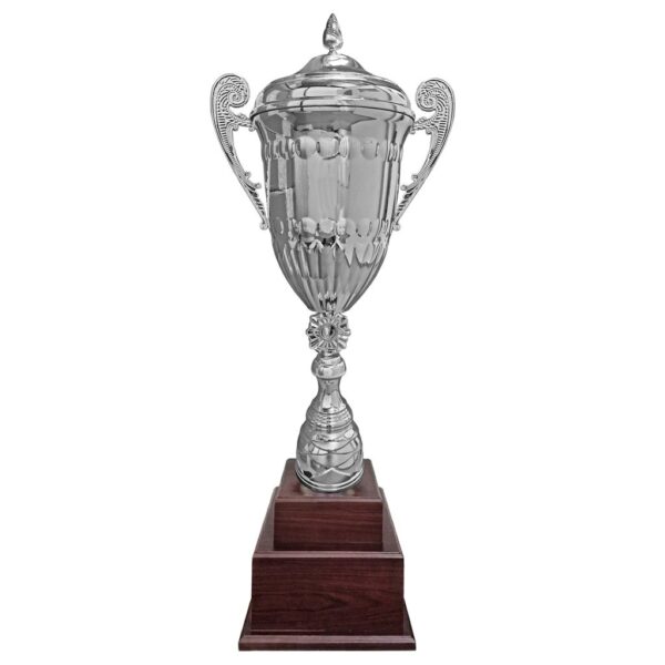 Copa JEN12, vista 2 - Copas | MerchLAB