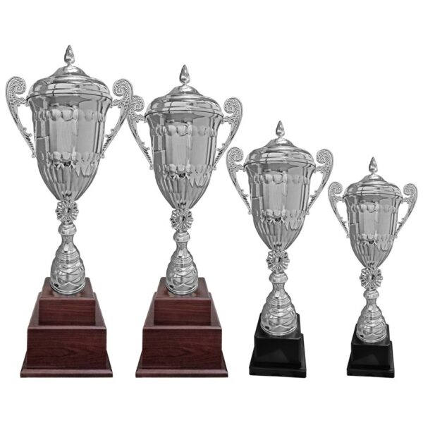 Copa JEN12 - Copas | MerchLAB