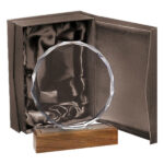 Galvano Cristal Base de Madera BLAS 51 - Galvanos y premios | MerchLAB