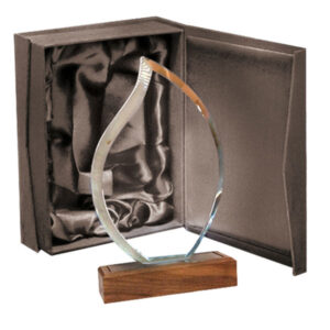 Galvano Cristal Base de Madera BLAS 55 - Galvanos y premios | MerchLAB