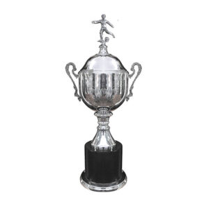Copa Inglesa 115 - Copas | MerchLAB