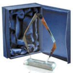 Galvano Cristal CTA 16 - Galvanos y premios | MerchLAB