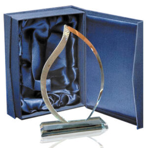 Galvano Cristal CTA 76 - Galvanos y premios | MerchLAB