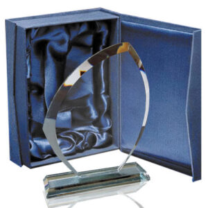 Galvano Cristal CTA 22 - Galvanos y premios | MerchLAB