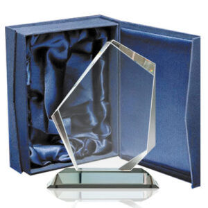 Galvano Cristal CTA 20 - Galvanos y premios | MerchLAB