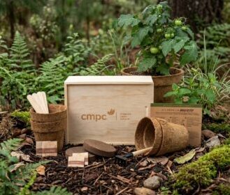 pot garden kit de siembra e1787238653973